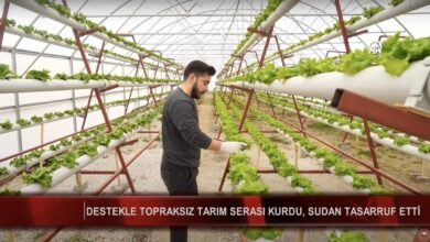 Genç Mühendisin Kurduğu Topraksız Tarım Serası