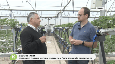 Topraksız Tarıma Yatırım Yapmadan Önce Bunları Bilin
