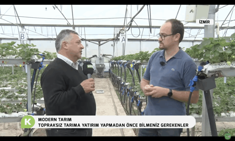 Topraksız Tarıma Yatırım Yapmadan Önce Bunları Bilin