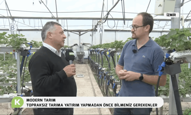 Topraksız Tarıma Yatırım Yapmadan Önce Bunları Bilin