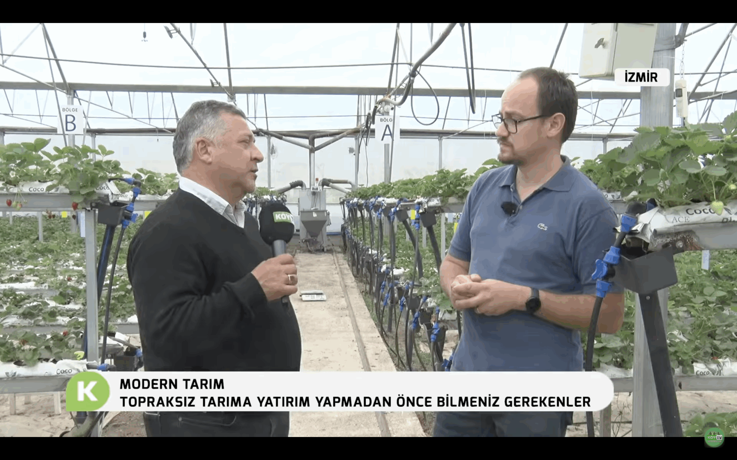 Topraksız Tarıma Yatırım Yapmadan Önce Bunları Bilin