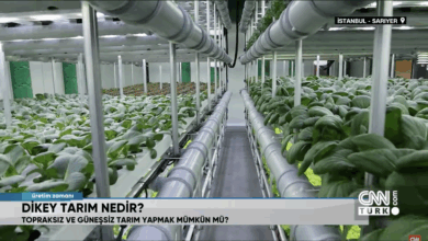 Kapalı Dikey Tarım :Türkiye’nin İlk Sebze Fabrikası