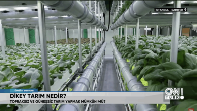 Kapalı Dikey Tarım :Türkiye’nin İlk Sebze Fabrikası