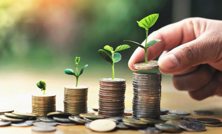 Topraksız tarıma yatırım öncesi maliyet ve finansal planlama