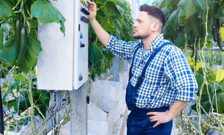 Topraksız Tarımda Enerji Verimliliği Nasıl Sağlanır?