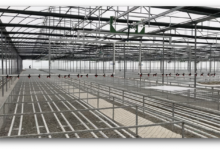 Jeotermal Isıtmalı Sera