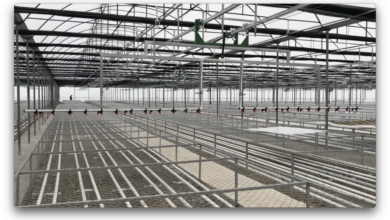 Jeotermal Isıtmalı Sera