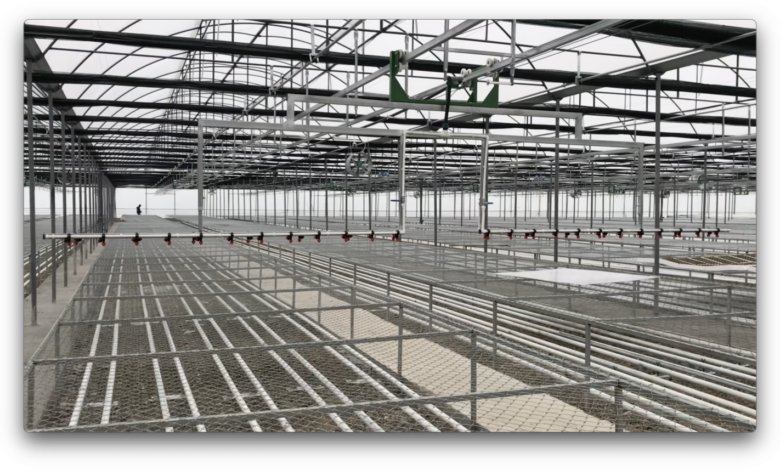 Jeotermal Isıtmalı Sera