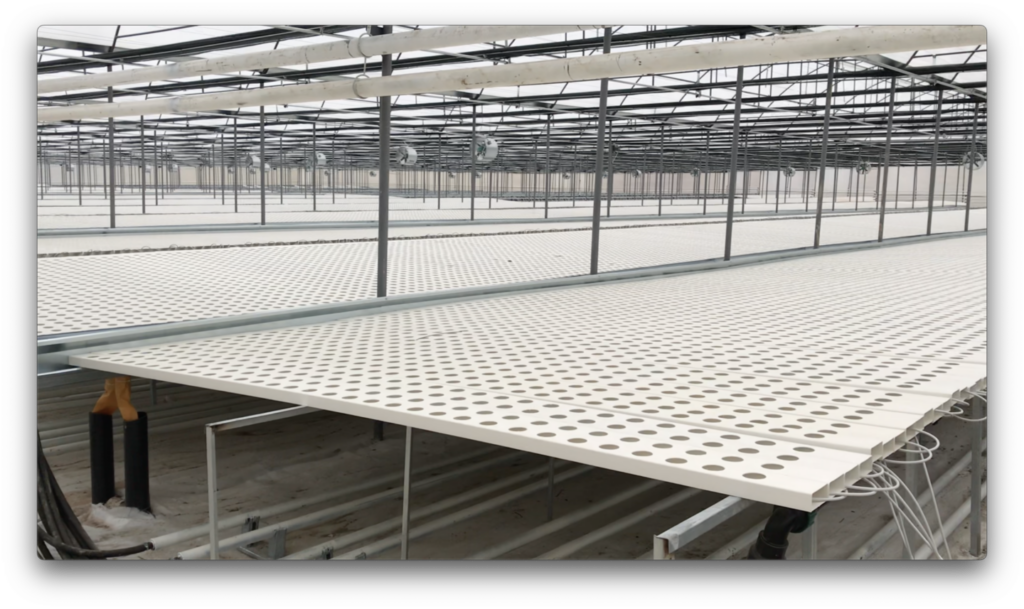 Jeotermal Isıtmalı Sera