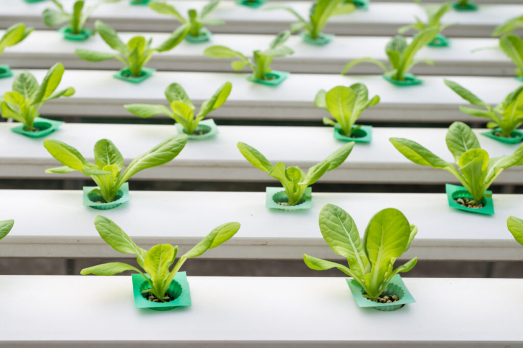 Topraksız Sistemler