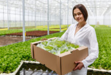 Topraksız Sistemler