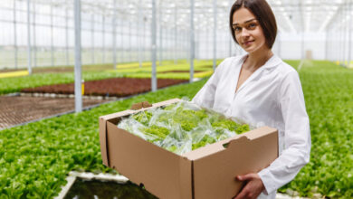 Topraksız Sistemler