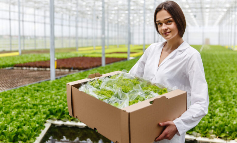 Topraksız Sistemler