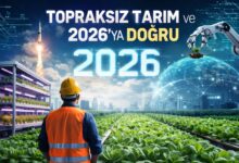 2026'da Topraksız tarımın nabzı nasıl olacak?