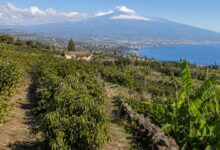 Sicilya’da tarım ve tropikal meyve üretimi, Etna Dağı ve Akdeniz kıyısı