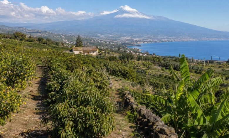 Sicilya’da tarım ve tropikal meyve üretimi, Etna Dağı ve Akdeniz kıyısı