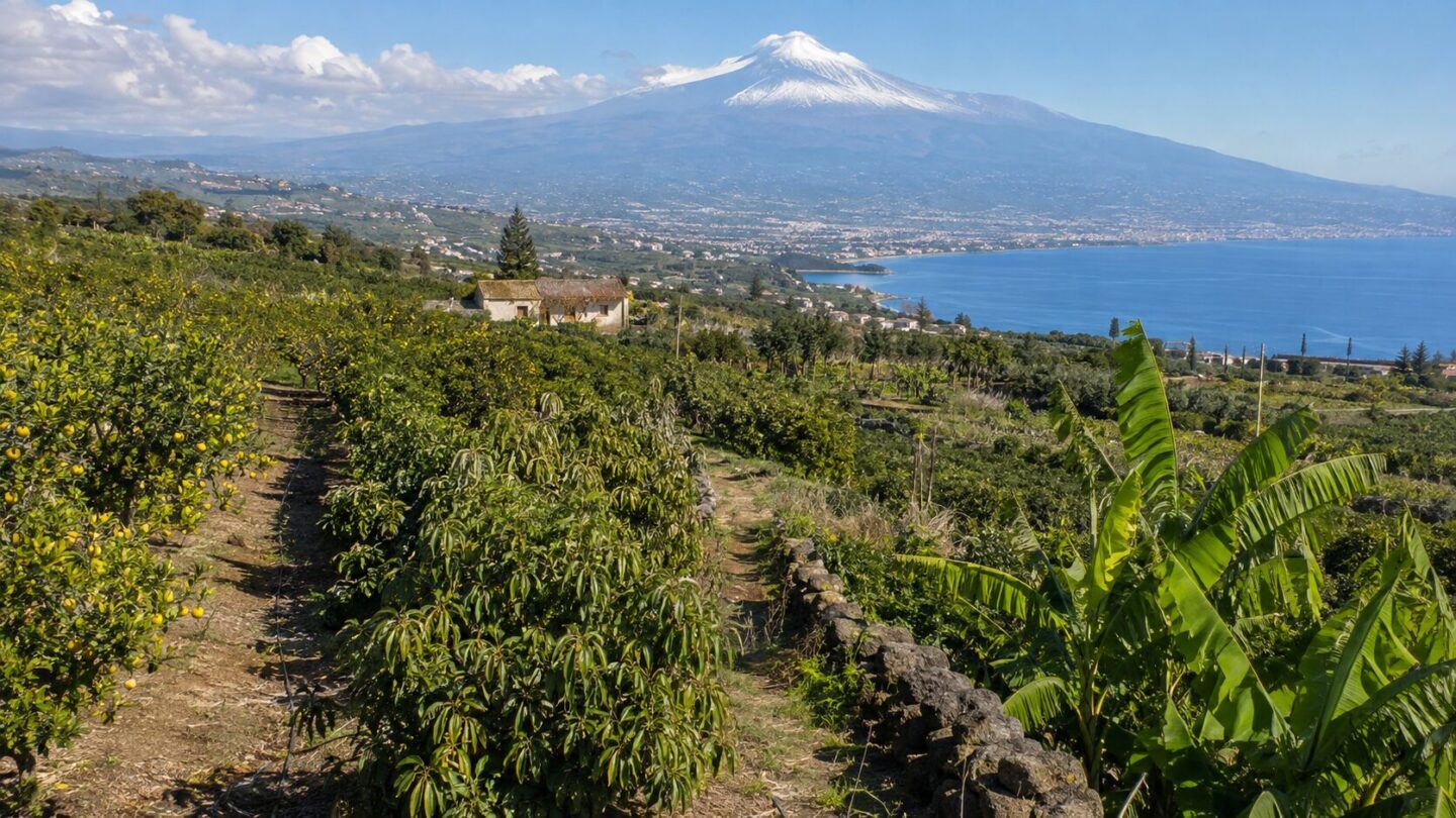 Sicilya’da tarım ve tropikal meyve üretimi, Etna Dağı ve Akdeniz kıyısı