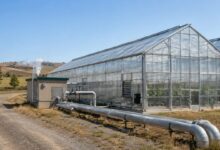 Banaz jeotermal sera projesini temsilen oluşturulmuş sera ve enerji altyapısı
