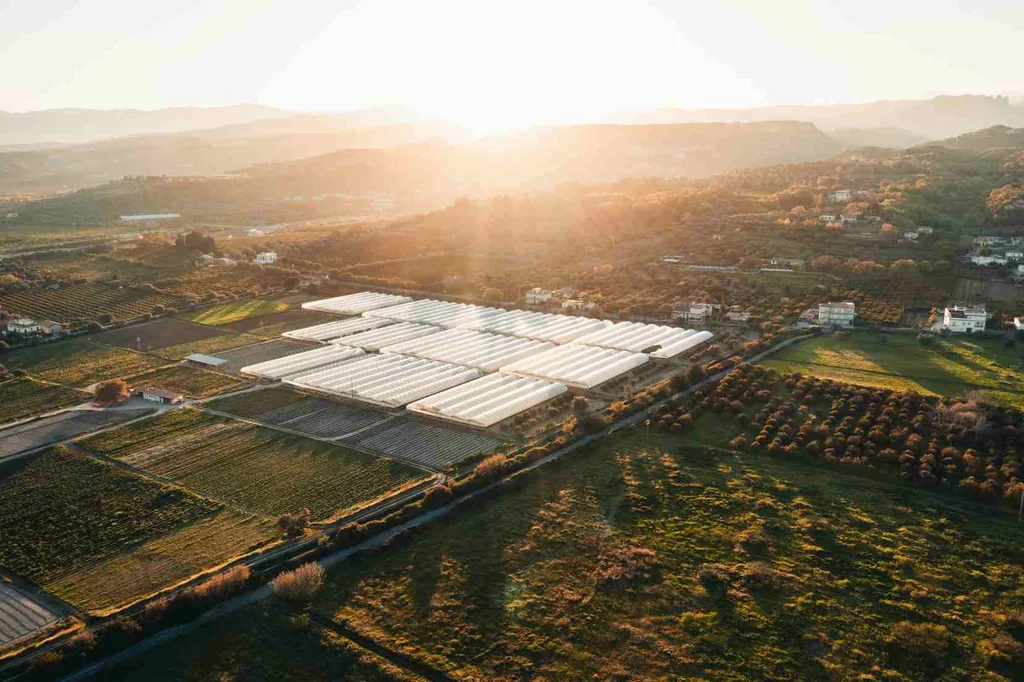 Adana sera yatırımlarını temsil eden modern sera tesisi havadan görünüm