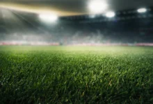 Stadyum ışıkları altında doğal çim futbol sahasının yakın plan görünümü