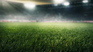Stadyum ışıkları altında doğal çim futbol sahasının yakın plan görünümü