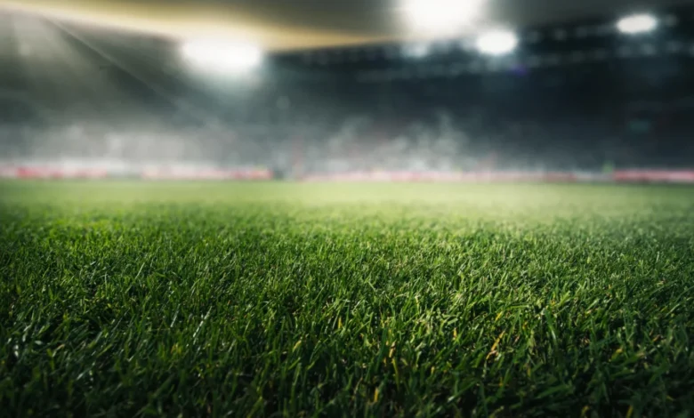 Stadyum ışıkları altında doğal çim futbol sahasının yakın plan görünümü