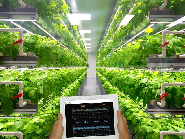 Dikey tarım tesisinde tablet üzerinden enerji ve üretim verilerinin izlenmesi