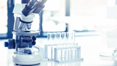 Hidroponik sistemlerde E. coli riski araştırmasını temsil eden laboratuvar mikroskobu ve test tüpleri