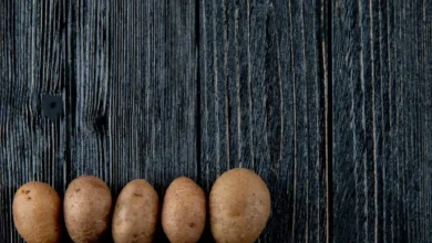 Hidroponik patates üretimini temsil eden patatesler