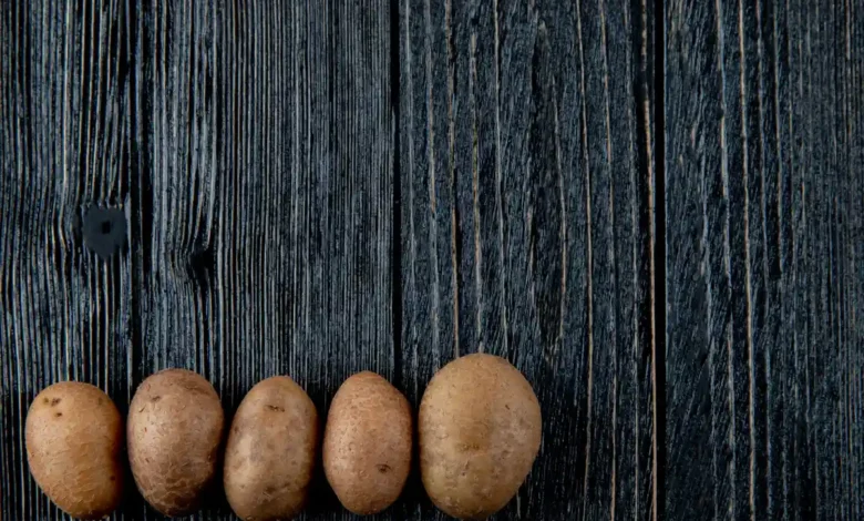 Hidroponik patates üretimini temsil eden patatesler