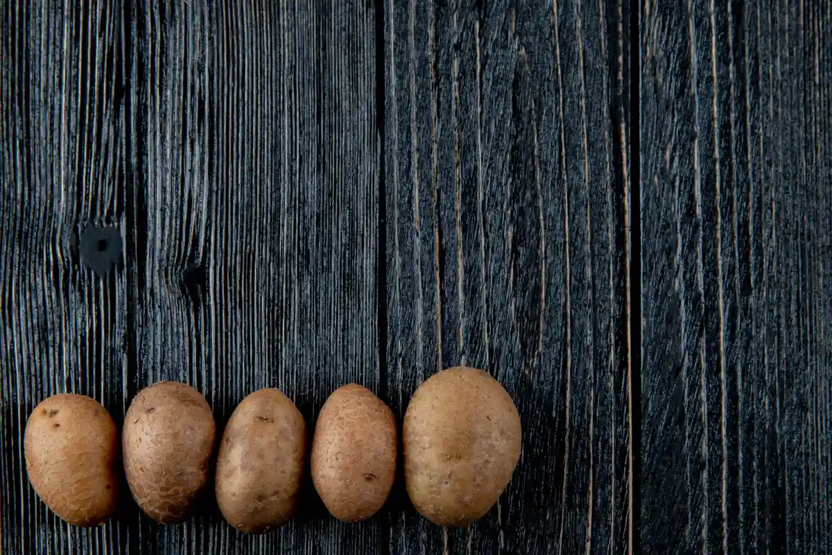 Hidroponik patates üretimini temsil eden patatesler