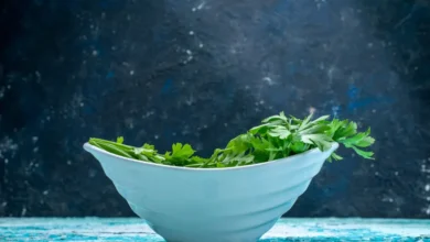 hidroponik restoran içinde kullanılan taze yeşillikler